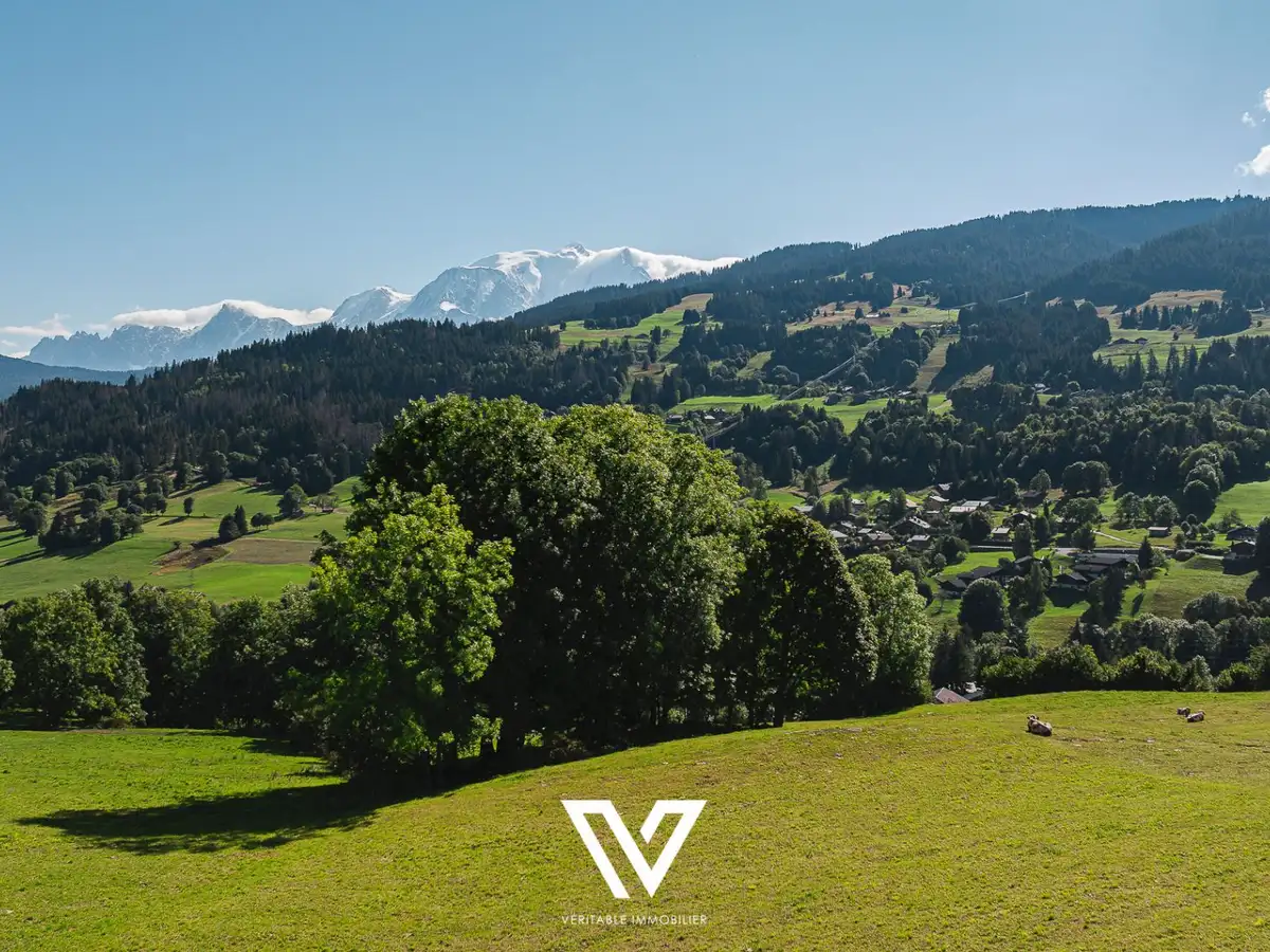 photo du bien immobilier